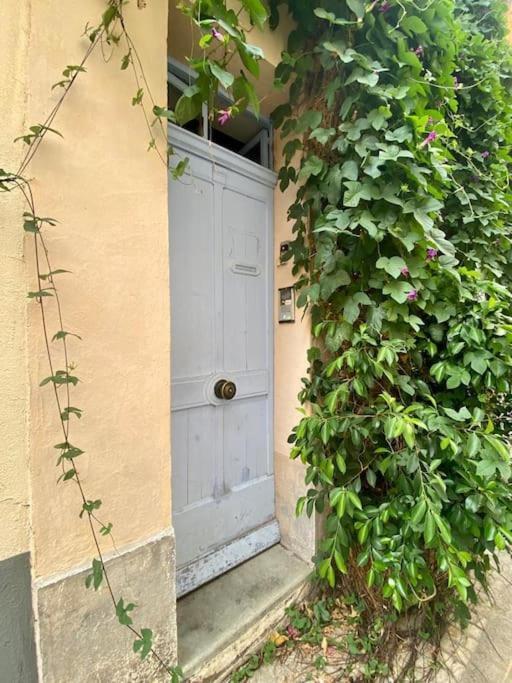 Click! Casa Lamartine Fabulous Ideal Location Walk To All!!! Cassis Esterno foto
